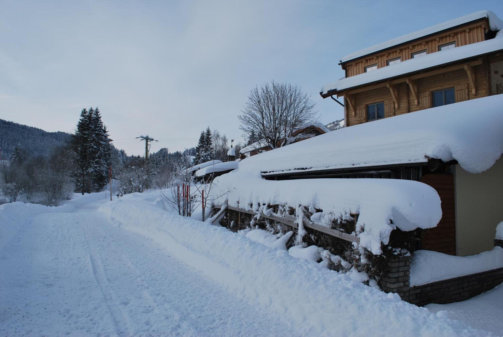Appartement Haus Pichler Leogang Exterior photo